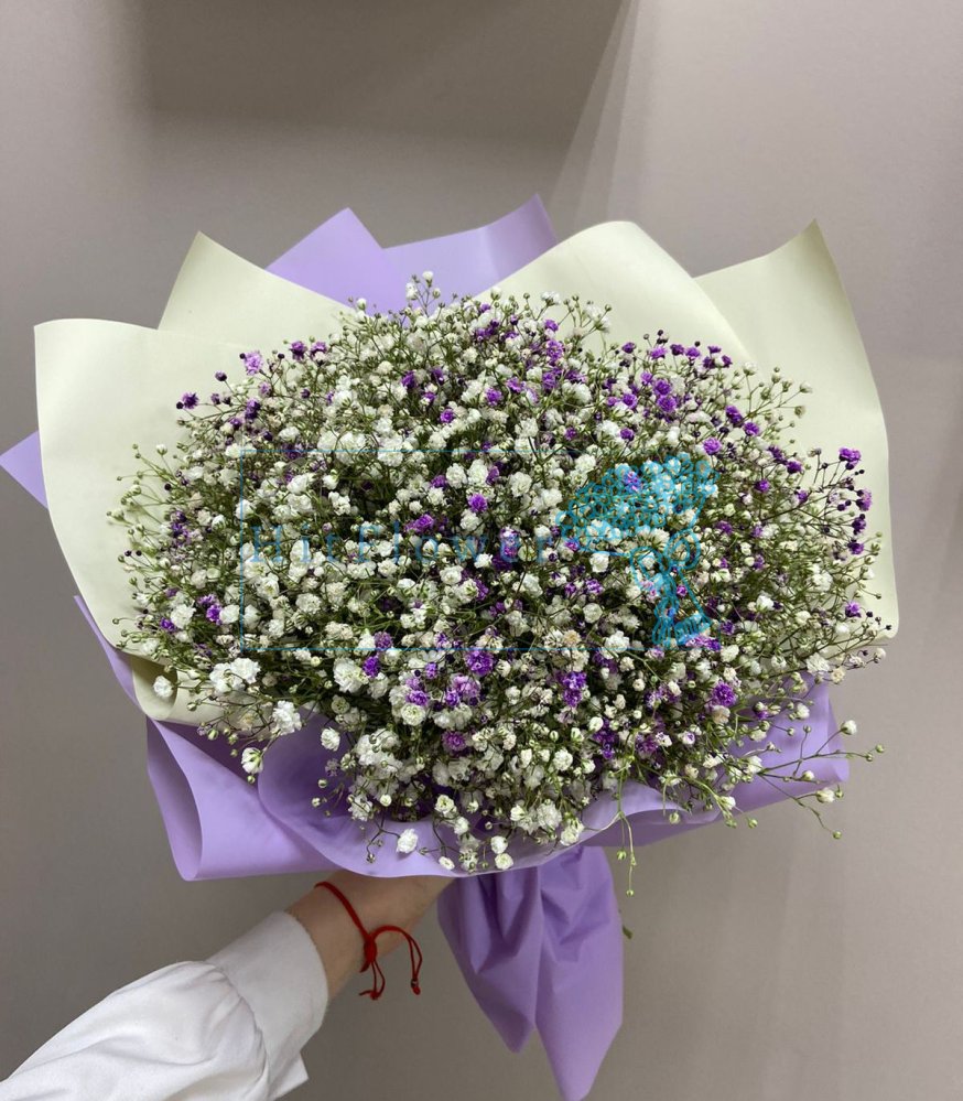Букет цветов Снегопад Букет цветов из: Гипсофила